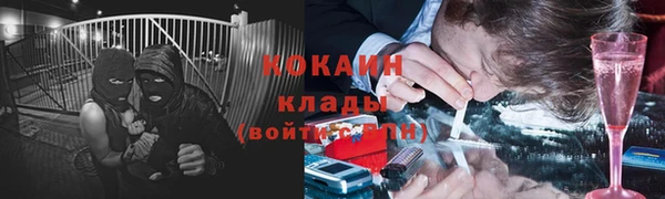 тгк Лиски