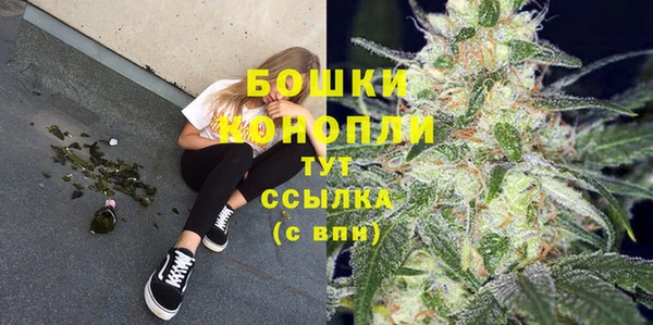 тгк Лиски