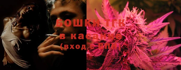 тгк Лиски
