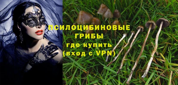 тгк Лиски