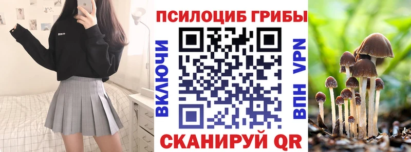 Галлюциногенные грибы Psilocybe  где купить наркотик  Фатеж 
